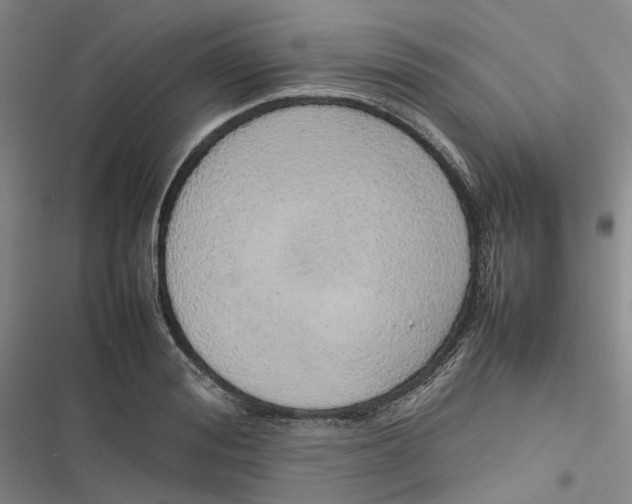 X0000116880988201001121319