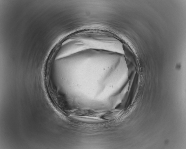 X0000116880989201001121319