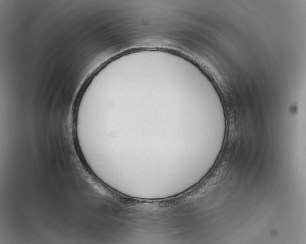 X0000116880990201001121319