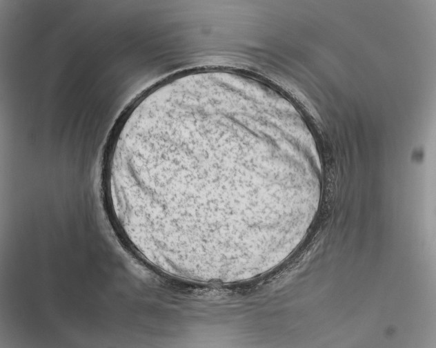 X0000116880991201001121319
