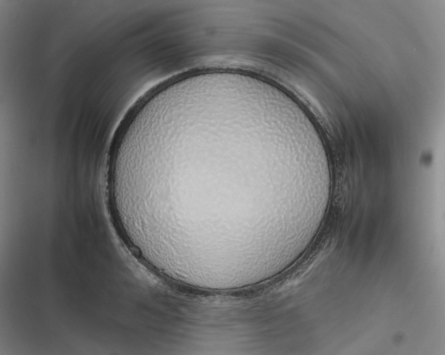 X0000116880992201001121319