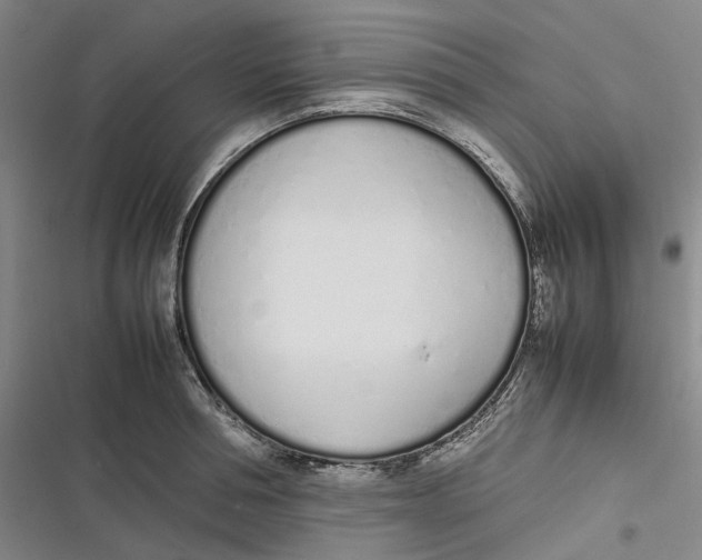 X0000116880994201001121319