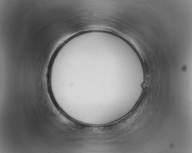 X0000116880995201001121319