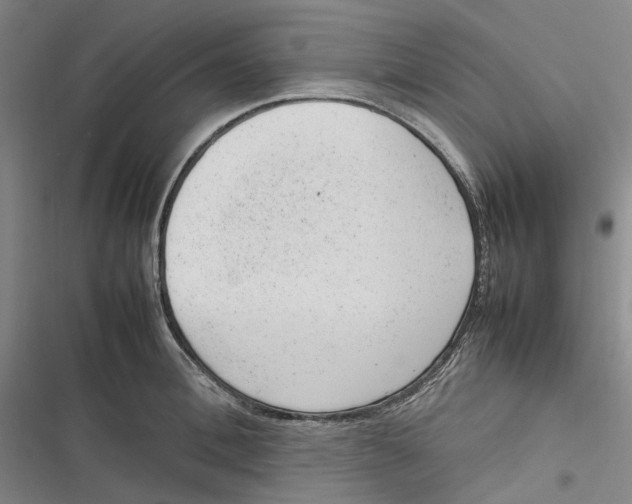 X0000116880996201001121319