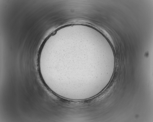 X0000116880997201001121319