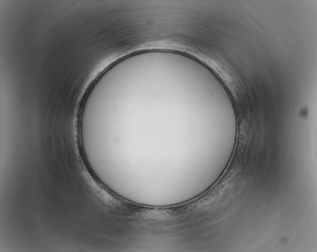 X0000116880998201001121319