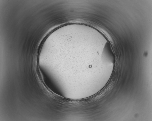 X0000116881000201001121319