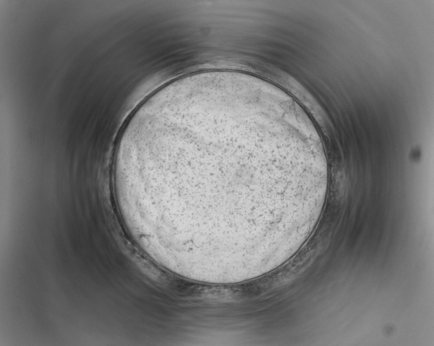 X0000116881002201001121319