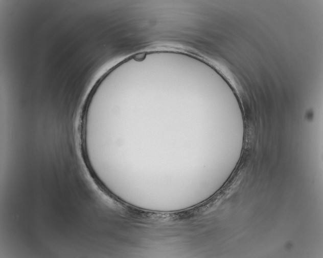 X0000116881003201001121319