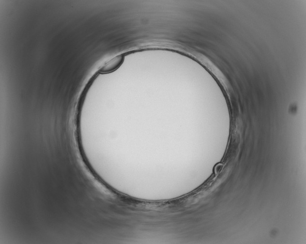X0000116881005201001121318
