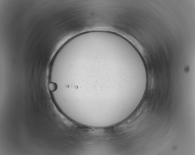 X0000116881006201001121318