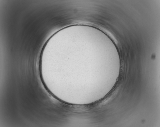 X0000116881007201001121318
