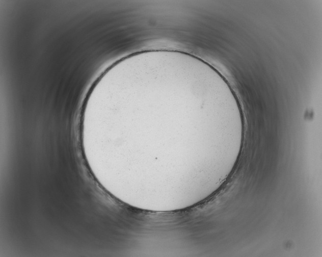 X0000116881008201001121318