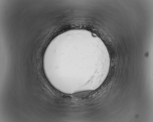 X0000116881009201001121318