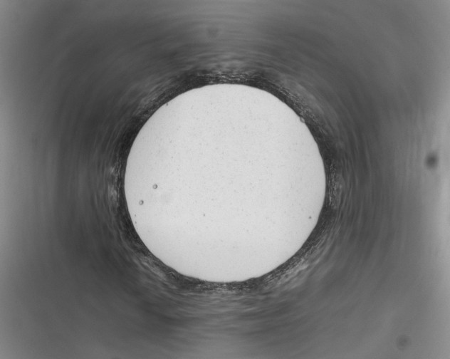 X0000116881010201001121318