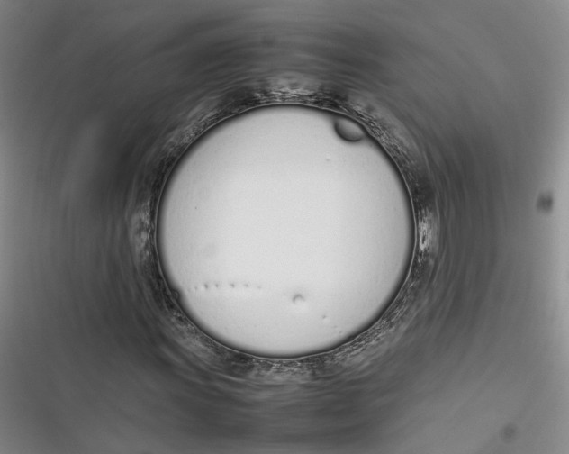 X0000116881011201001121318
