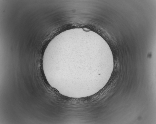 X0000116881012201001121318