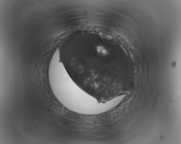X0000116881013201001121318