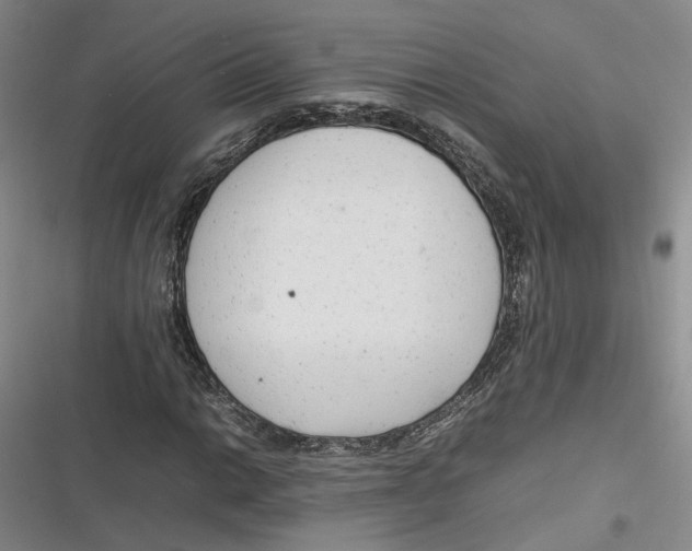 X0000116881014201001121318