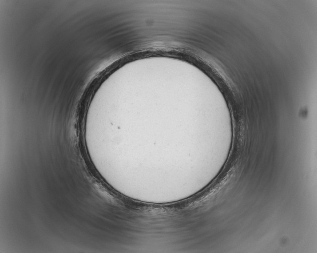 X0000116881018201001121318
