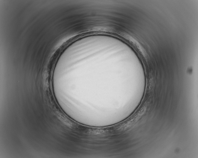 X0000116881019201001121318