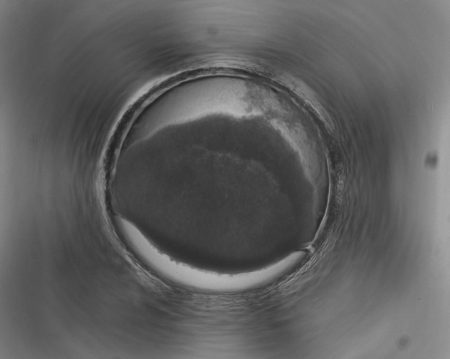 X0000116881024201001121318