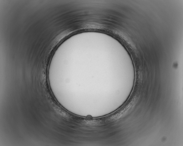 X0000116881025201001121318
