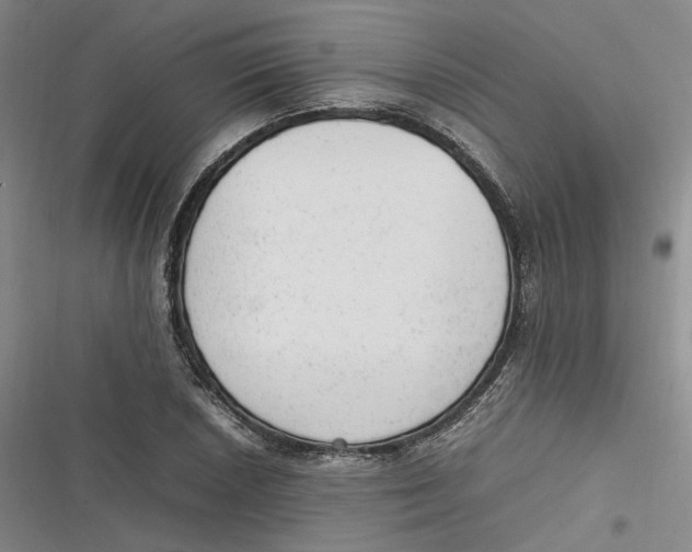 X0000116881026201001121318
