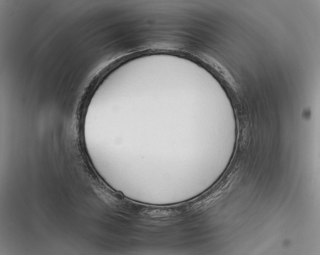 X0000116881027201001121318