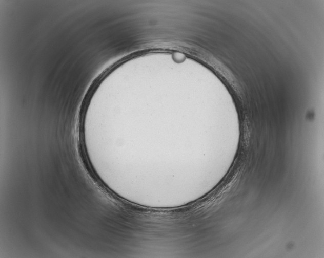 X0000116881028201001121318