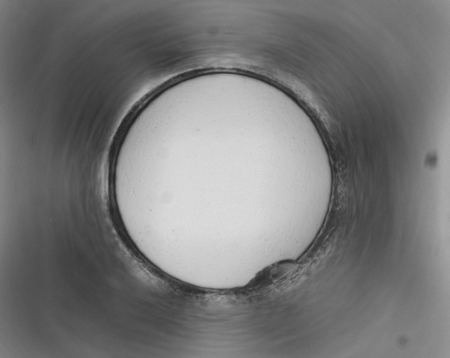 X0000116881032201001121318