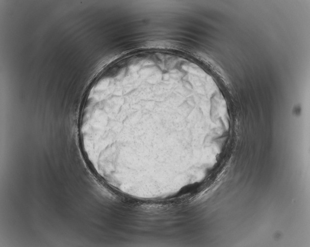 X0000116881033201001121318