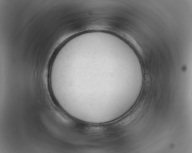X0000116881035201001121318
