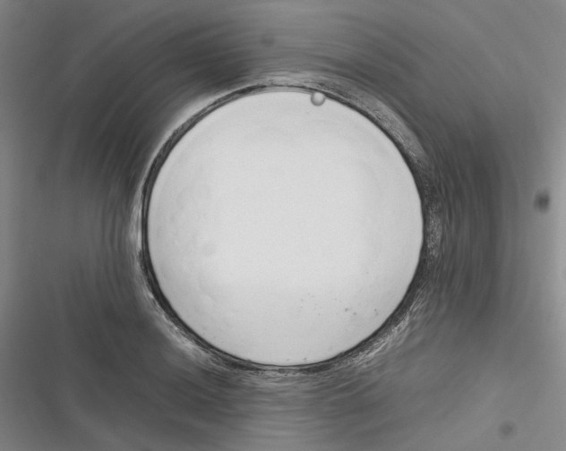 X0000116881036201001121318