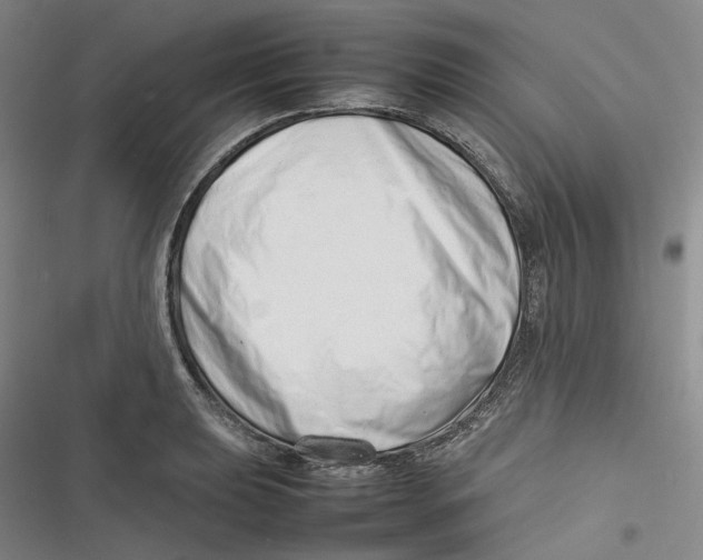 X0000116881039201001121318
