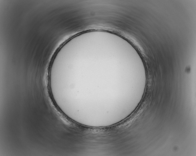 X0000116881040201001121318