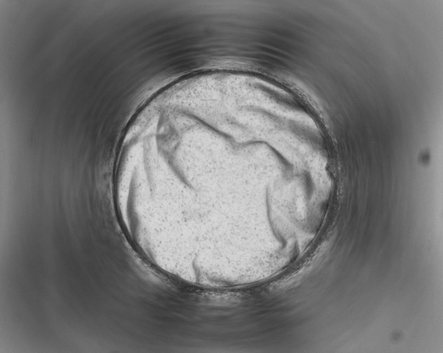 X0000116881041201001121318