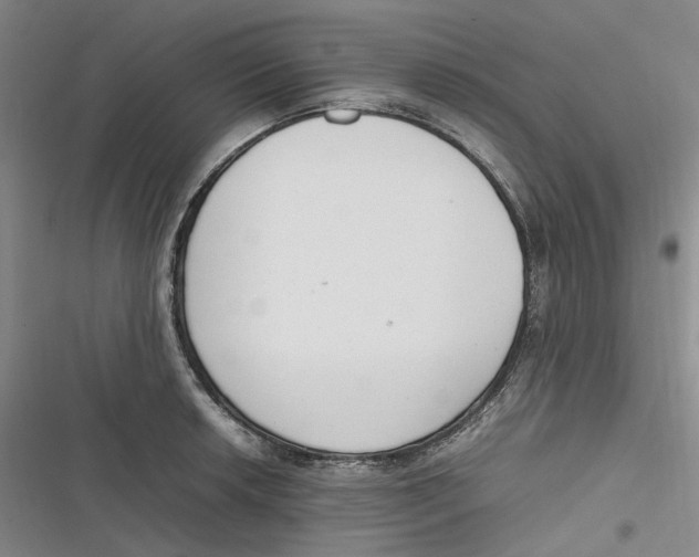 X0000116881042201001121318