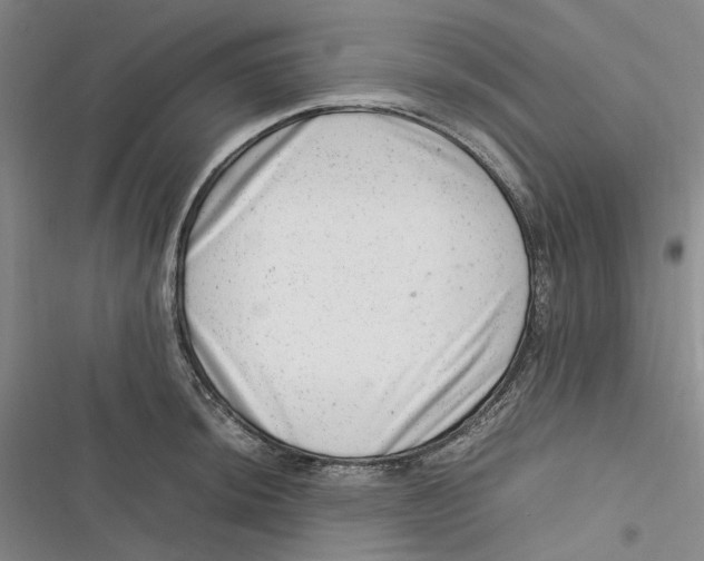 X0000116881044201001121318