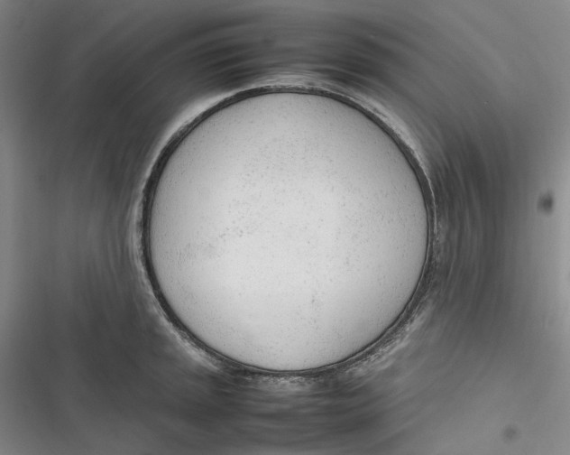 X0000116881045201001121318