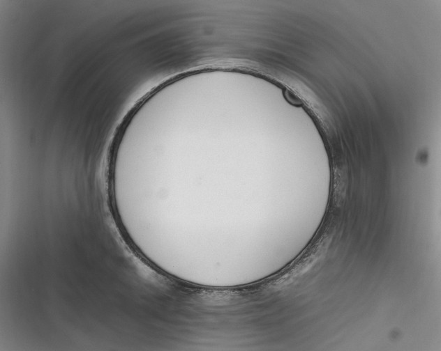 X0000116881046201001121318