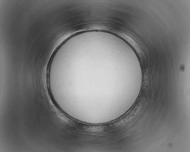 X0000116881047201001121318
