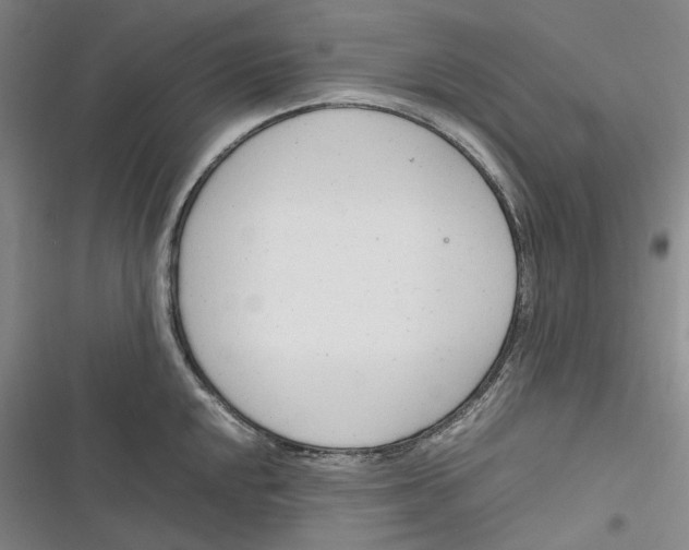 X0000116881048201001121318