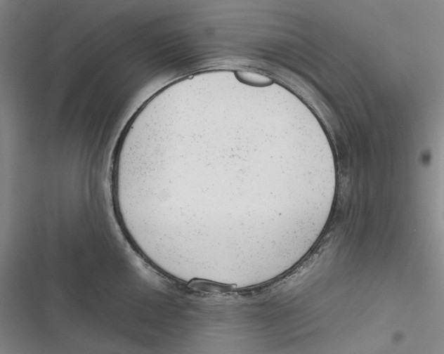 X0000116881050201001121318