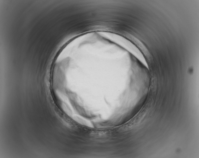 X0000116881051201001121318