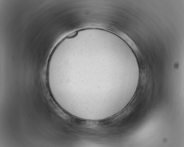 X0000116881052201001121318