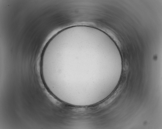 X0000116881054201001121318