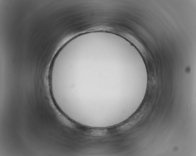 X0000116881055201001121318