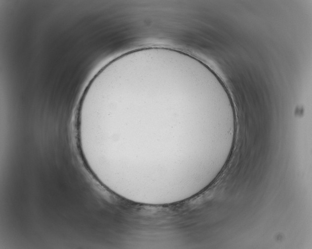 X0000116881056201001121318