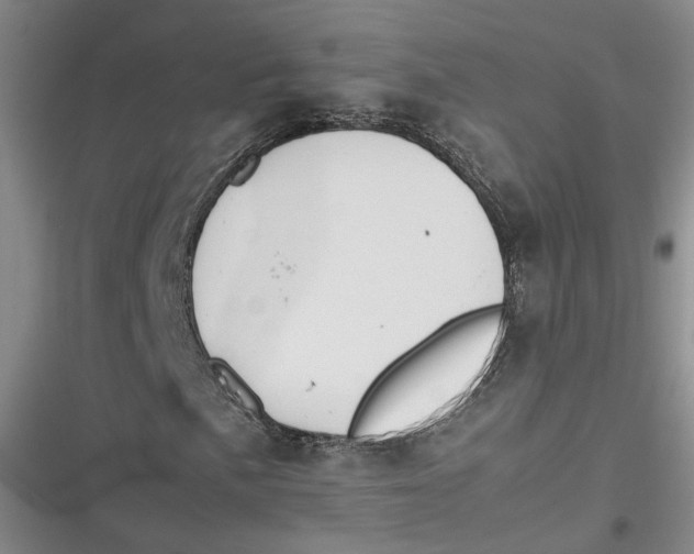X0000116881057201001121318